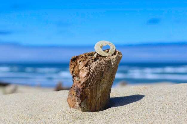 Оформление ИП - юридические аспекты и возможные подводные камни Оформление ИП: юридические аспекты и возможные подводные камни